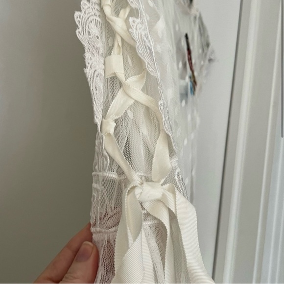 Beautiful Lace Overlay Dress with Embroidered Birds - Picture 3 of 4